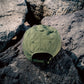 SOFT BRIM 6 PANEL CAP w/ CHIN STRAP (OFFLINE)