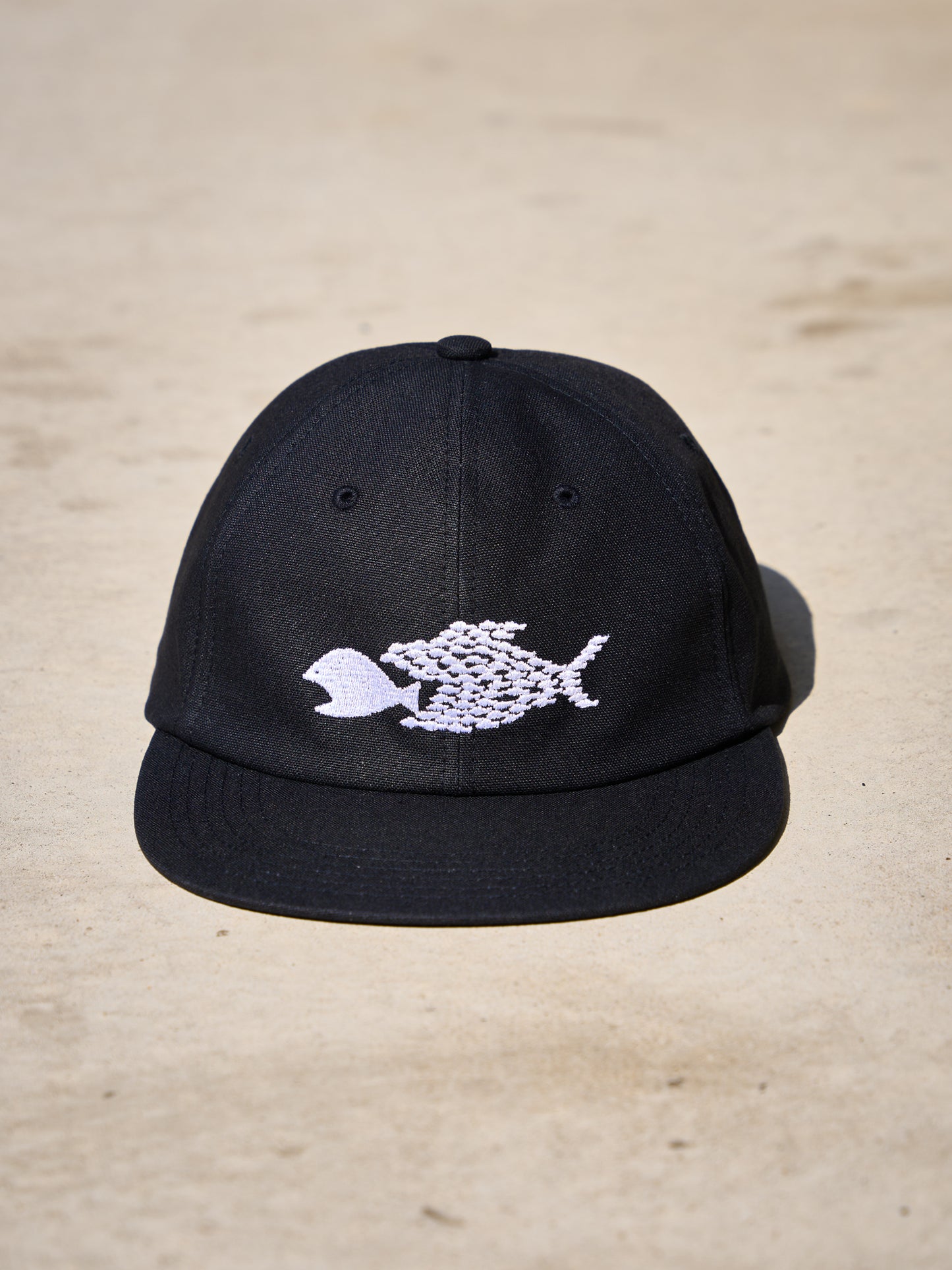 HARD BRIM 6 PANEL CAP LOW (SOLIDARITY)