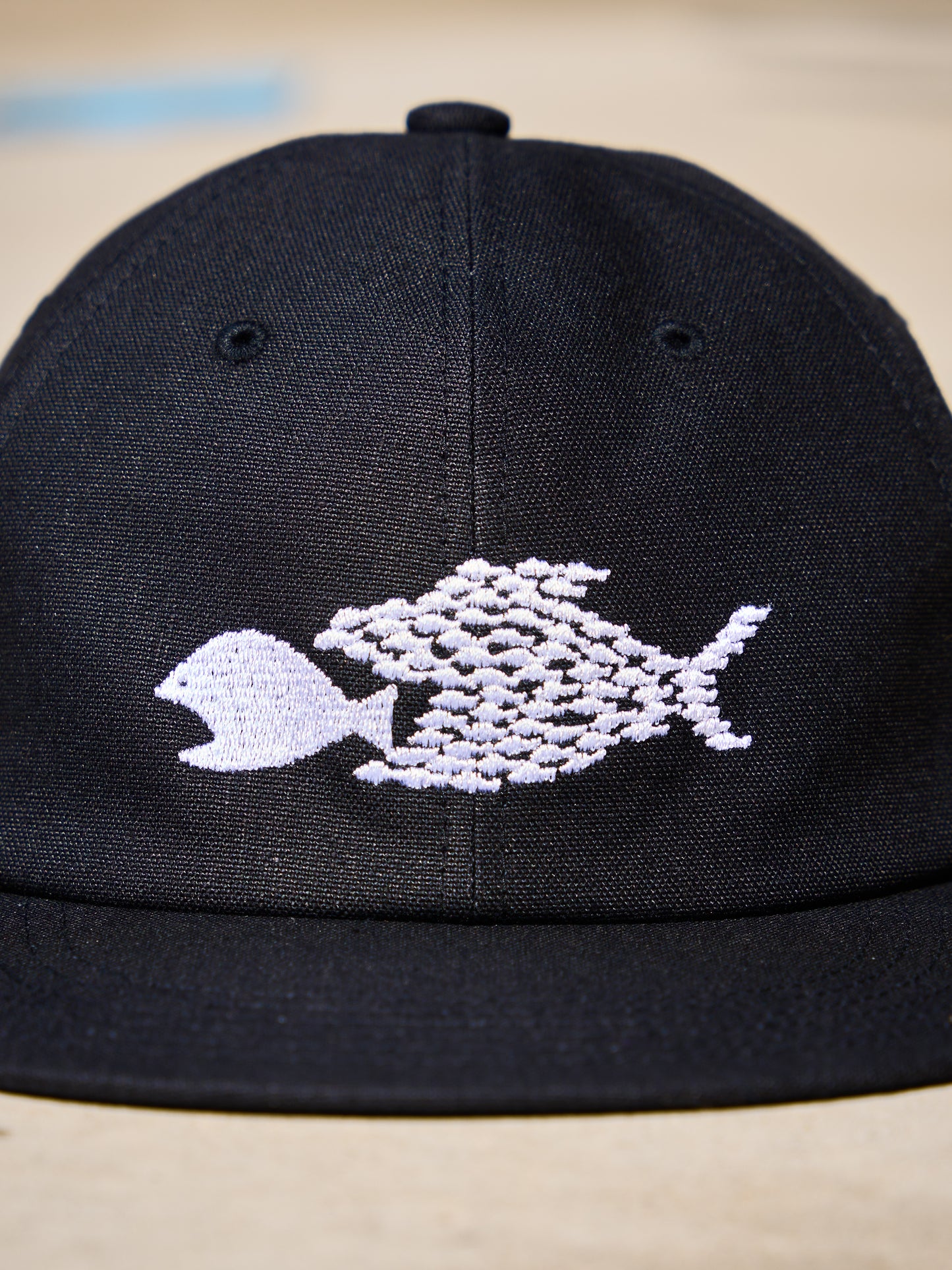 HARD BRIM 6 PANEL CAP LOW (SOLIDARITY)