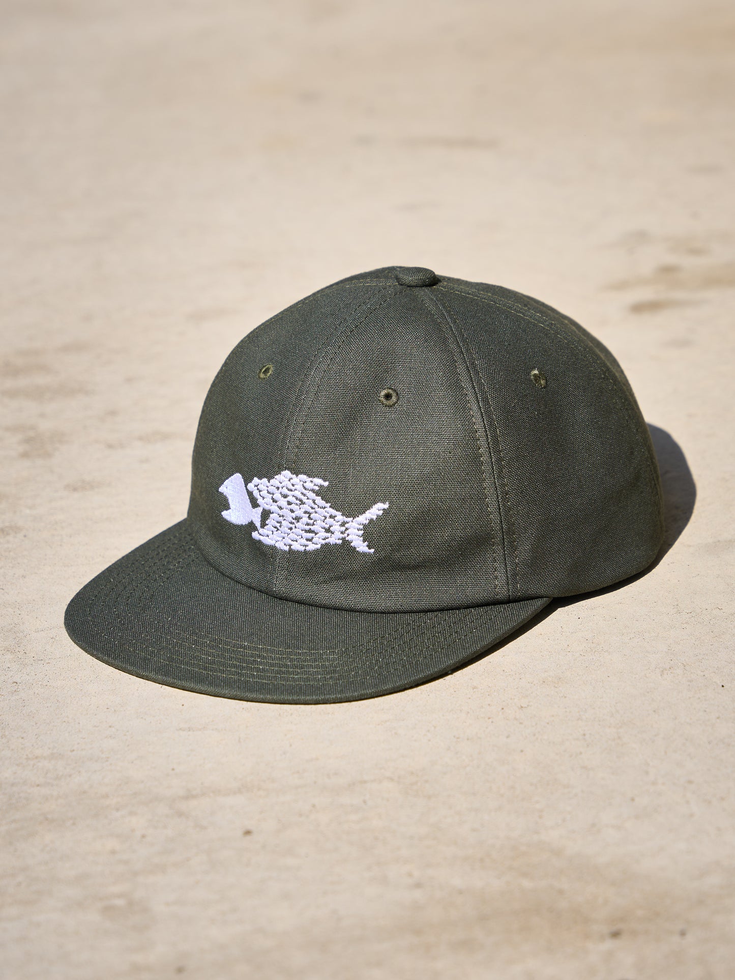 HARD BRIM 6 PANEL CAP LOW (SOLIDARITY)