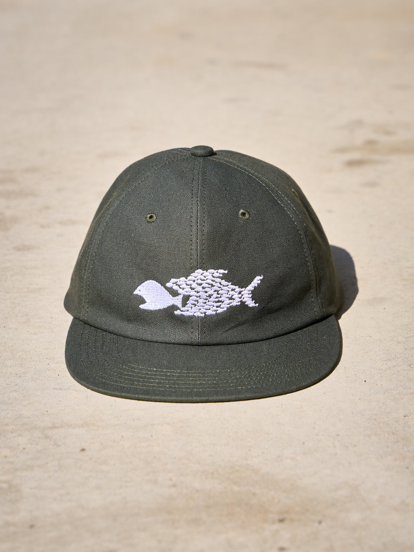 HARD BRIM 6 PANEL CAP LOW (SOLIDARITY)