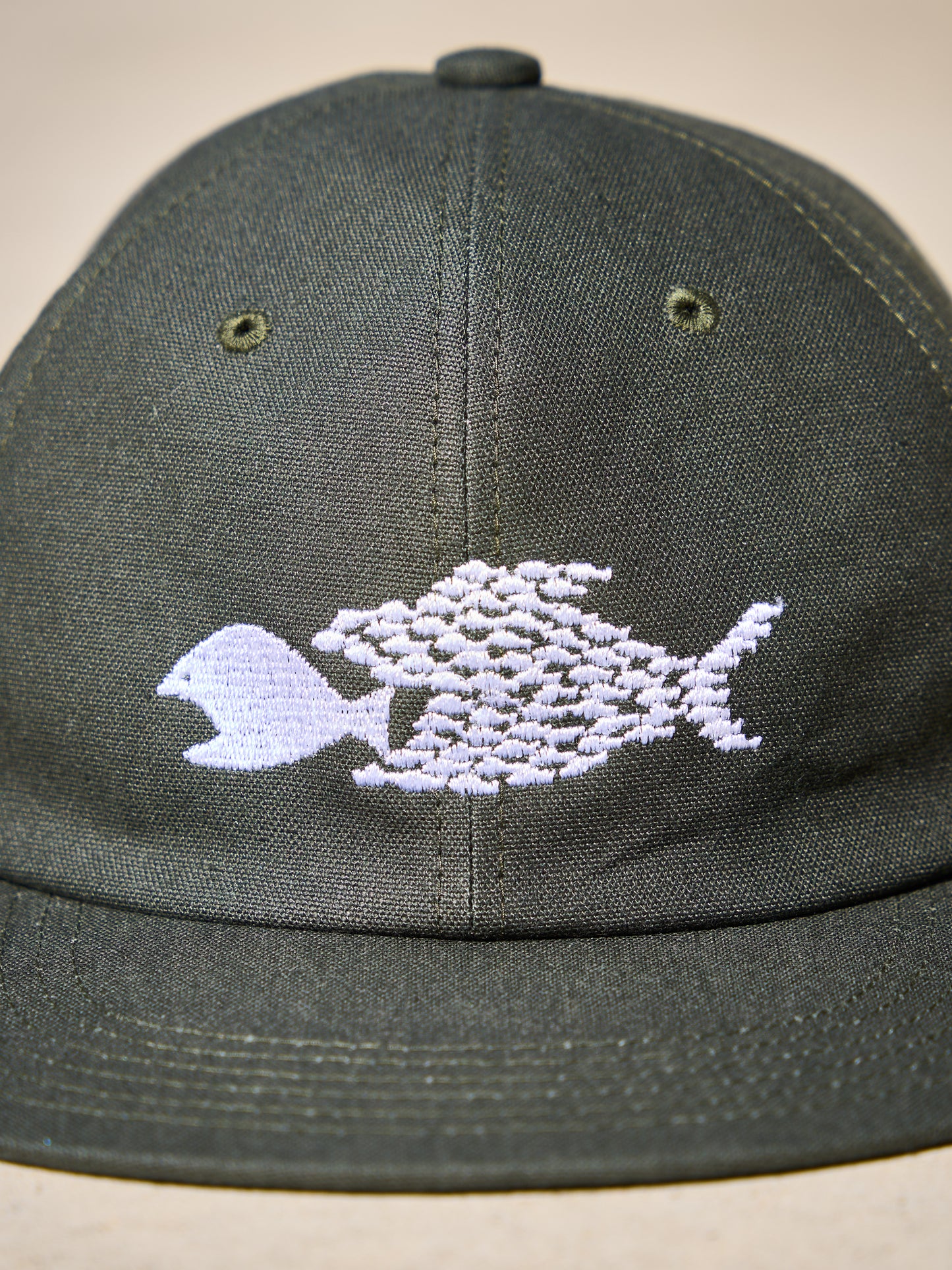 HARD BRIM 6 PANEL CAP LOW (SOLIDARITY)