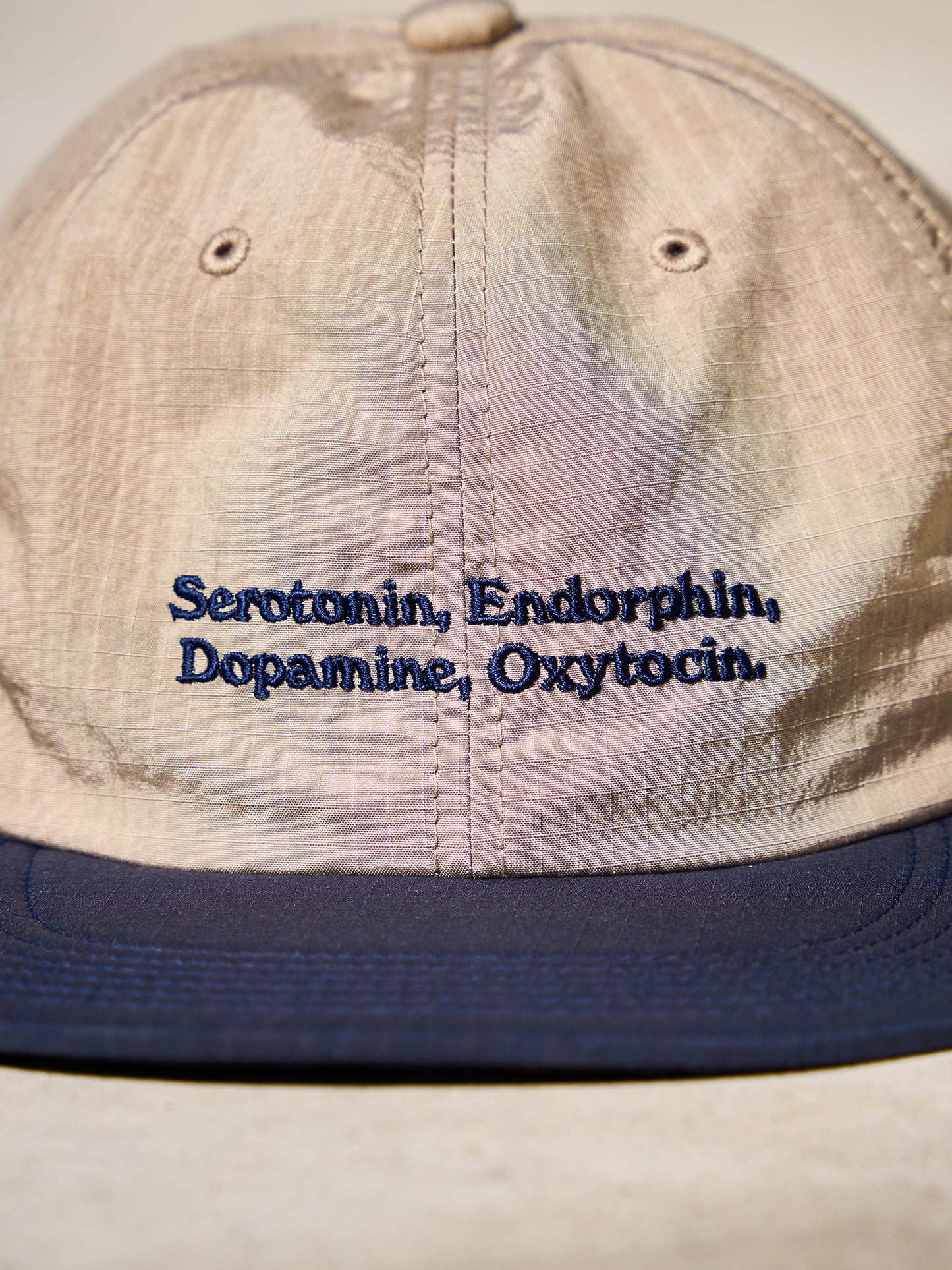 SOFT BRIM 6 PANEL CAP LOW (HAPPY CHEMICALS)